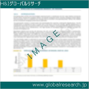 グローバルリサーチ調査レポートのイメージ